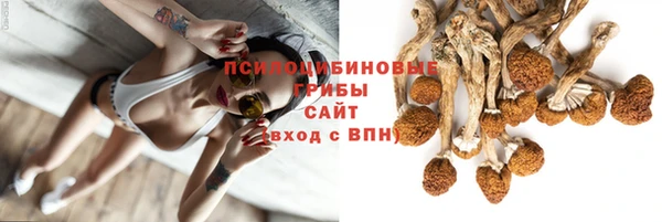 трава Алексин